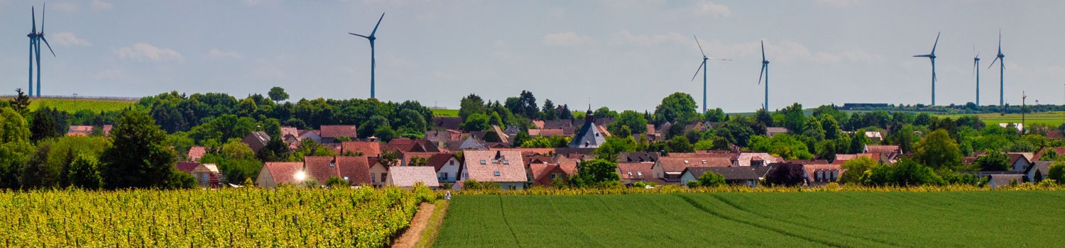 Uelversheim Panorama 5304198 