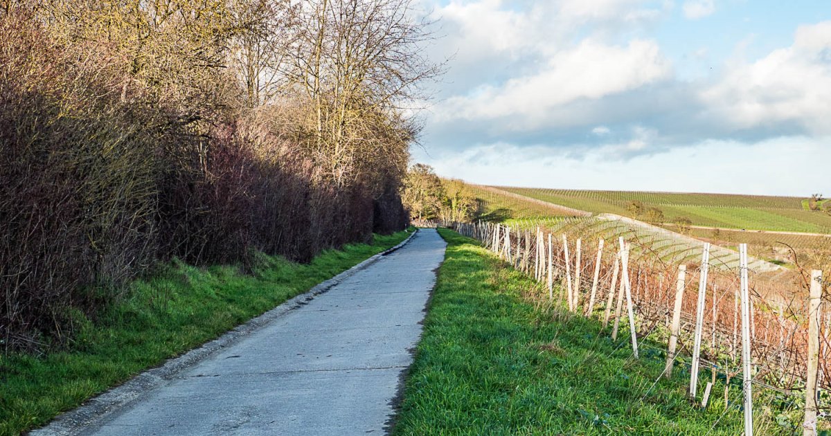 Mein buntes Jahr 2023: Glücksgefühle, Herausforderungen und alles dazwischen