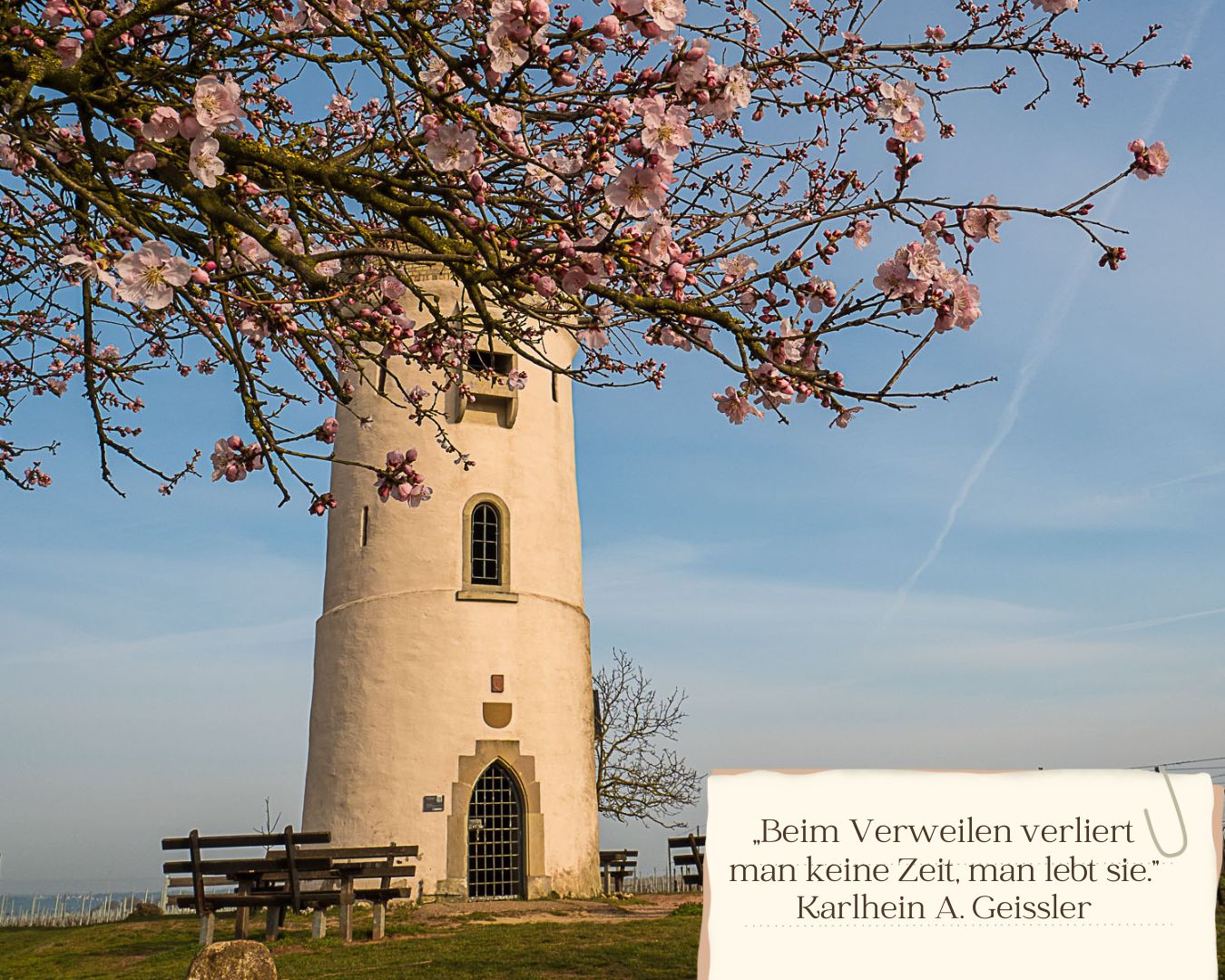 Der Wartturm in Nierstein