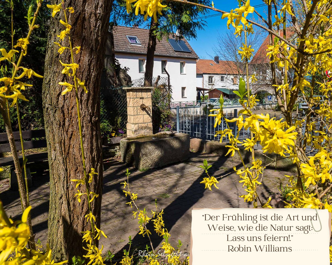 Frühling in Dexheim