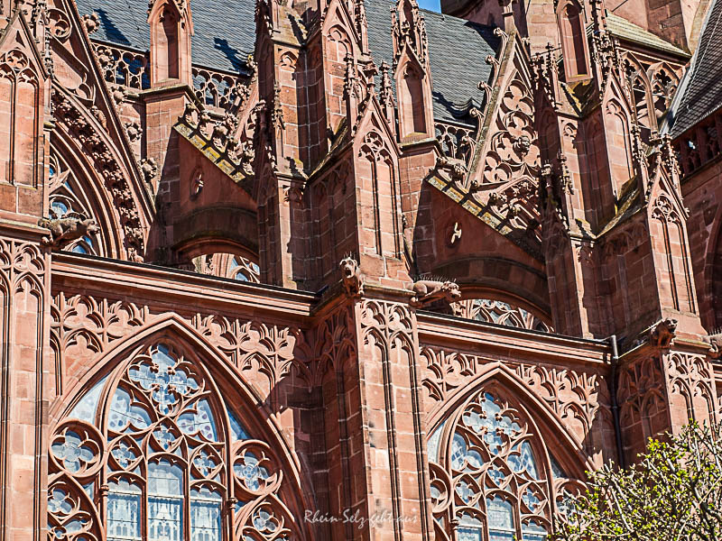 Katharinenkirche Oppenheim : Köpfe und Wasserspeier