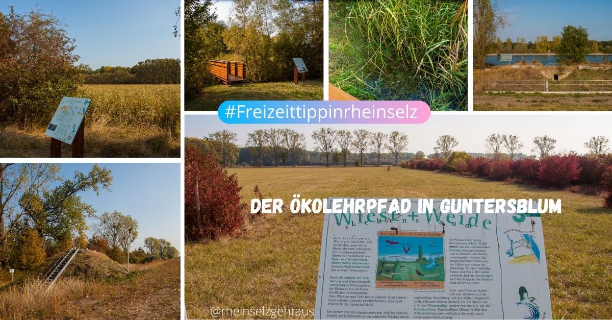 Ökolehrpfad Guntersblum