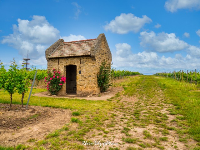 Ein Hauch von Toskana in Rhein-Selz