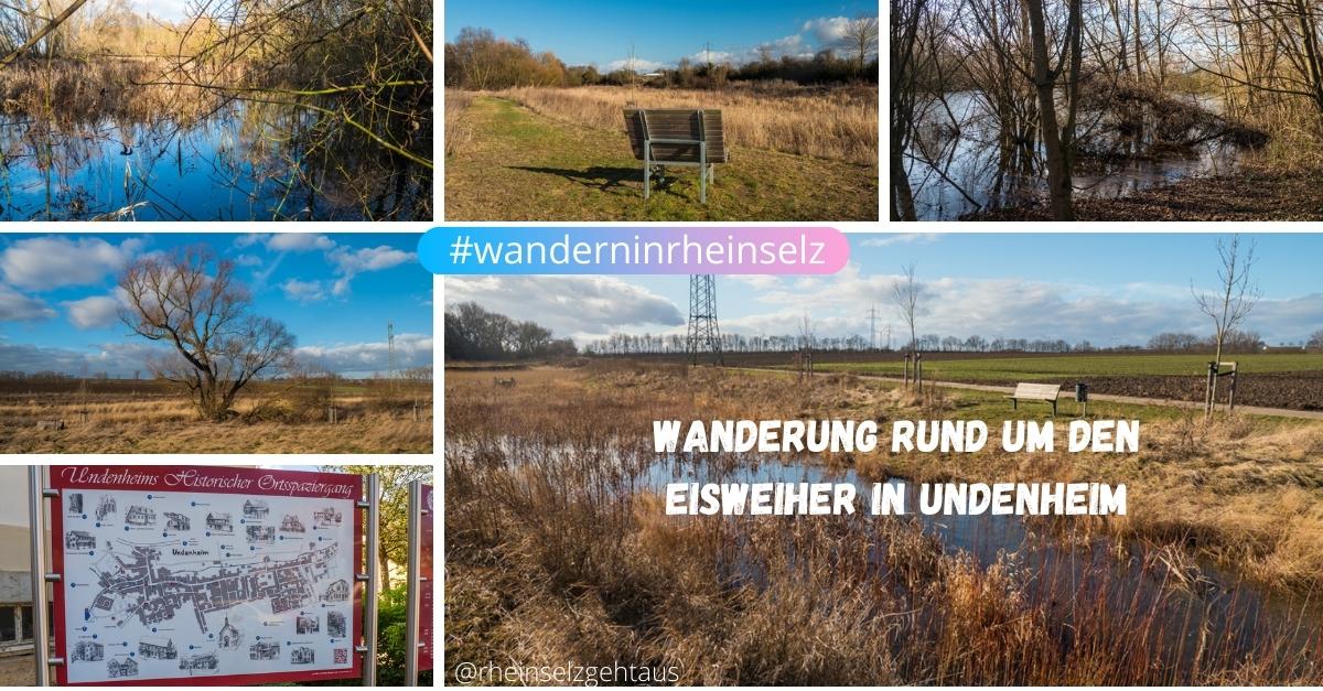 Wanderung rund um den Eisweiher in Undenheim