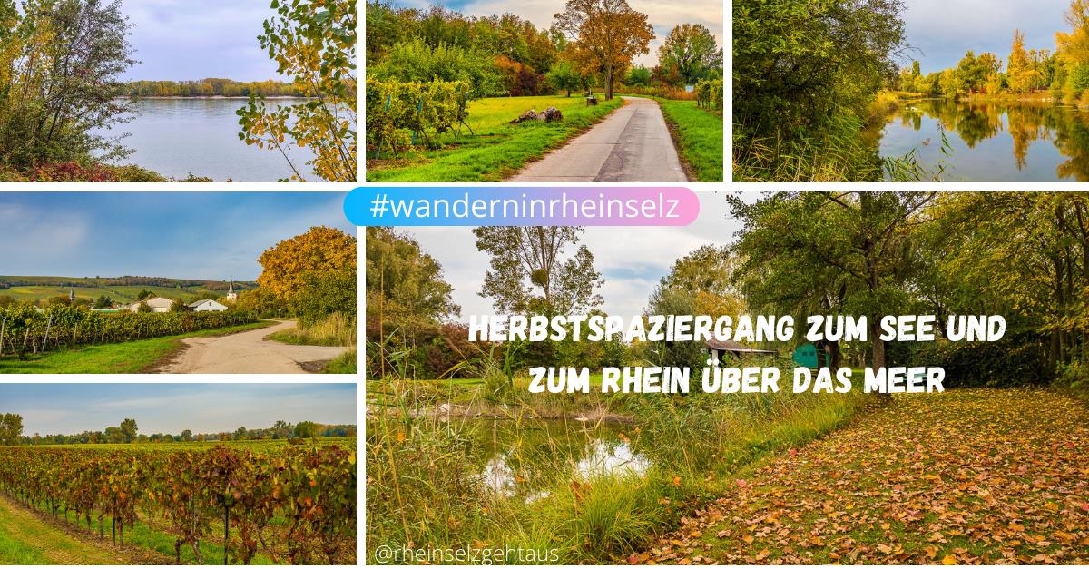 Herbstspaziergang-rund-um-Dienheim