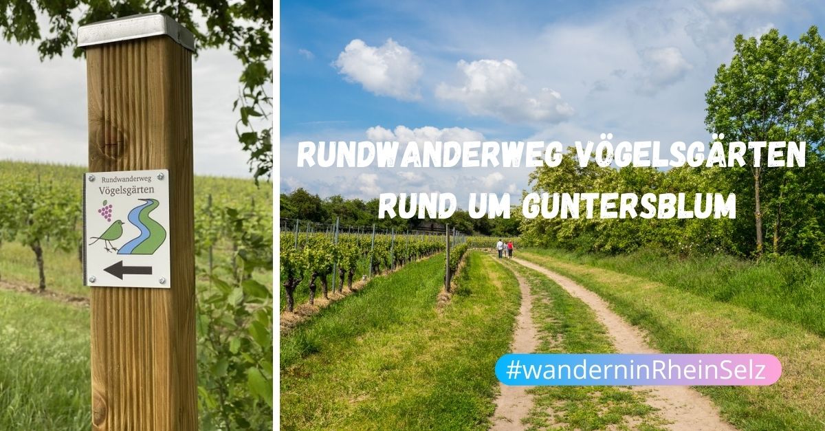 wanderninRheinSelz