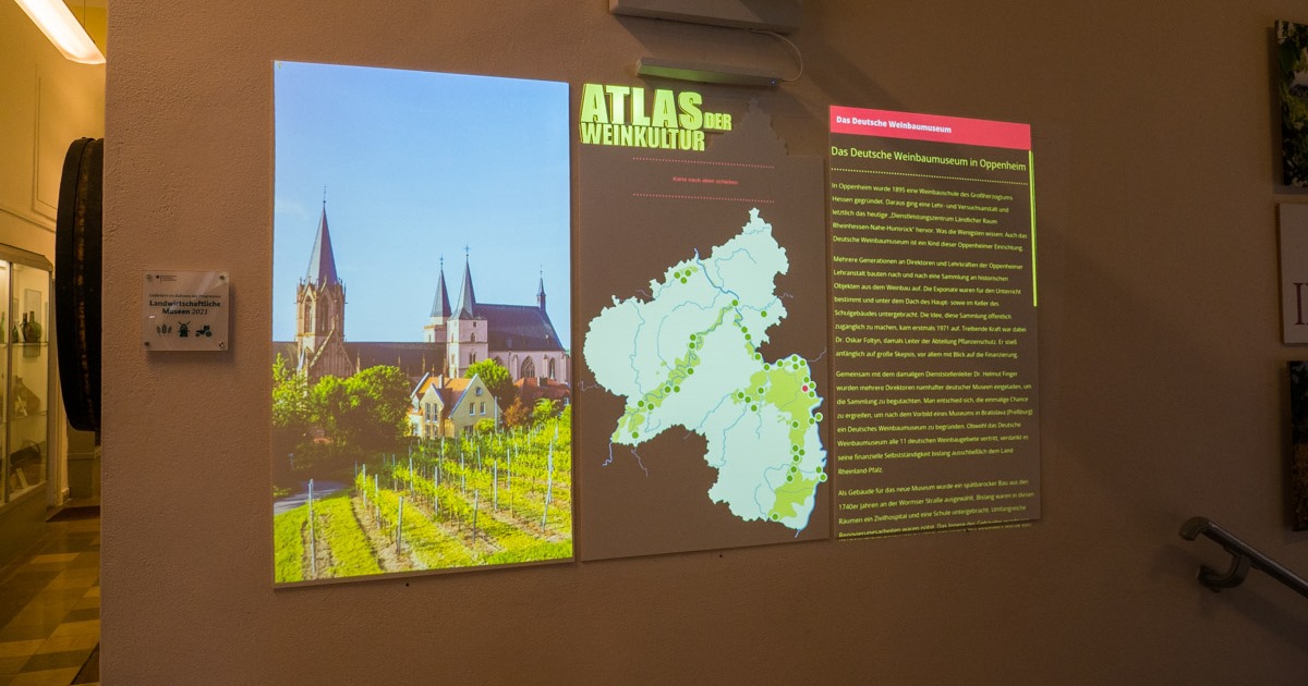 Atlas der Weinkultur in Rheinland-Pfalz im Deutschen Weinbaumuseum in Oppenheim